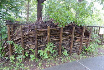 足立区桑袋ビオトープ公園