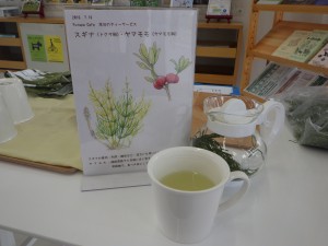 20160716スギナ茶(2)