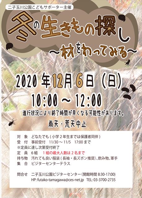 受付終了 冬の生きもの探し 材をわってみる 参加者募集 受付開始11月30日から 世田谷区立二子玉川公園ビジターセンター