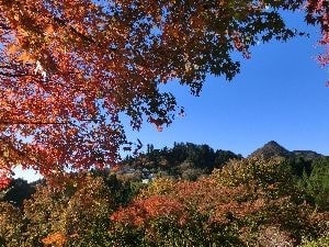 紅葉と奥の院