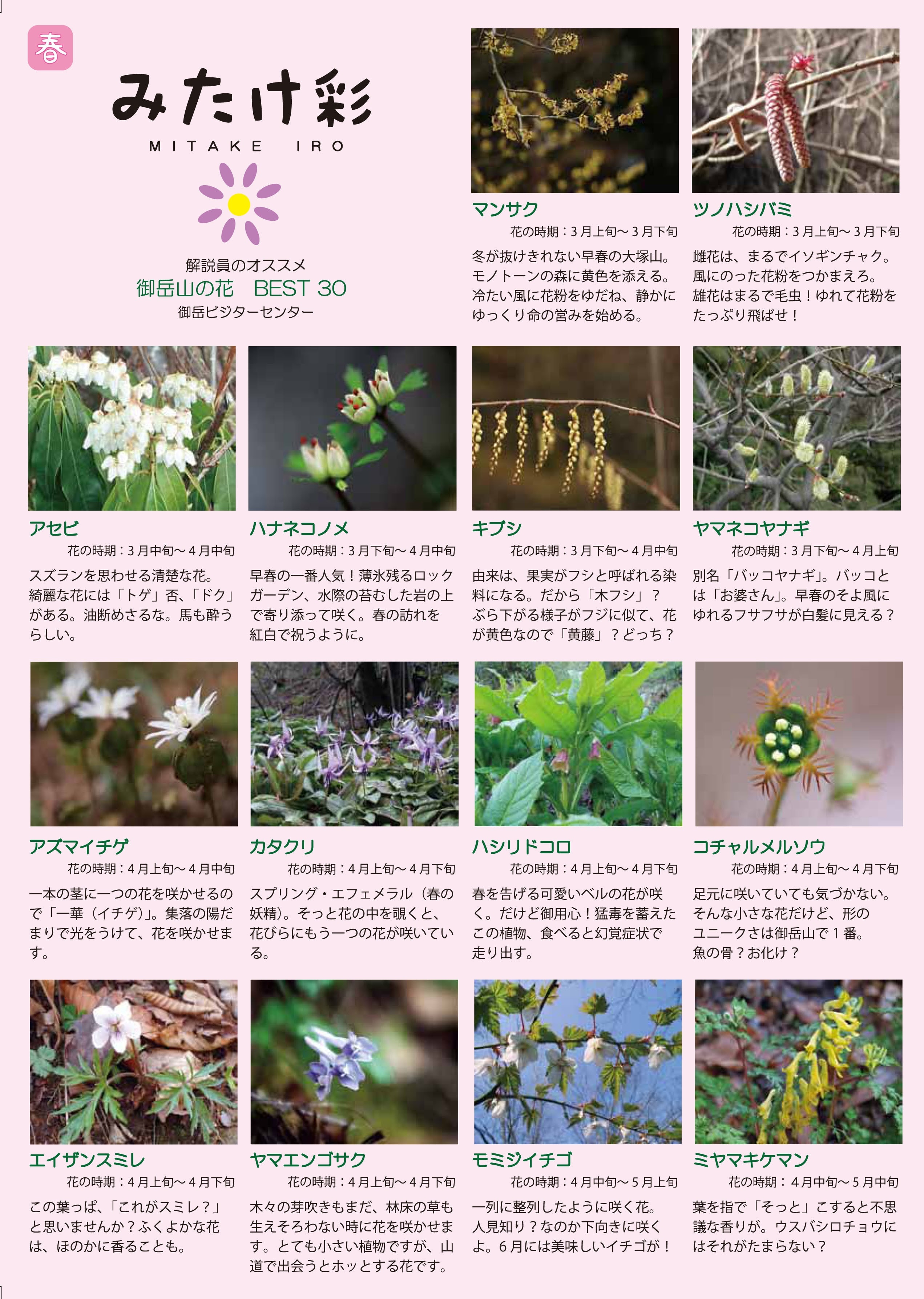 「みたけ彩」春の開花植物 表