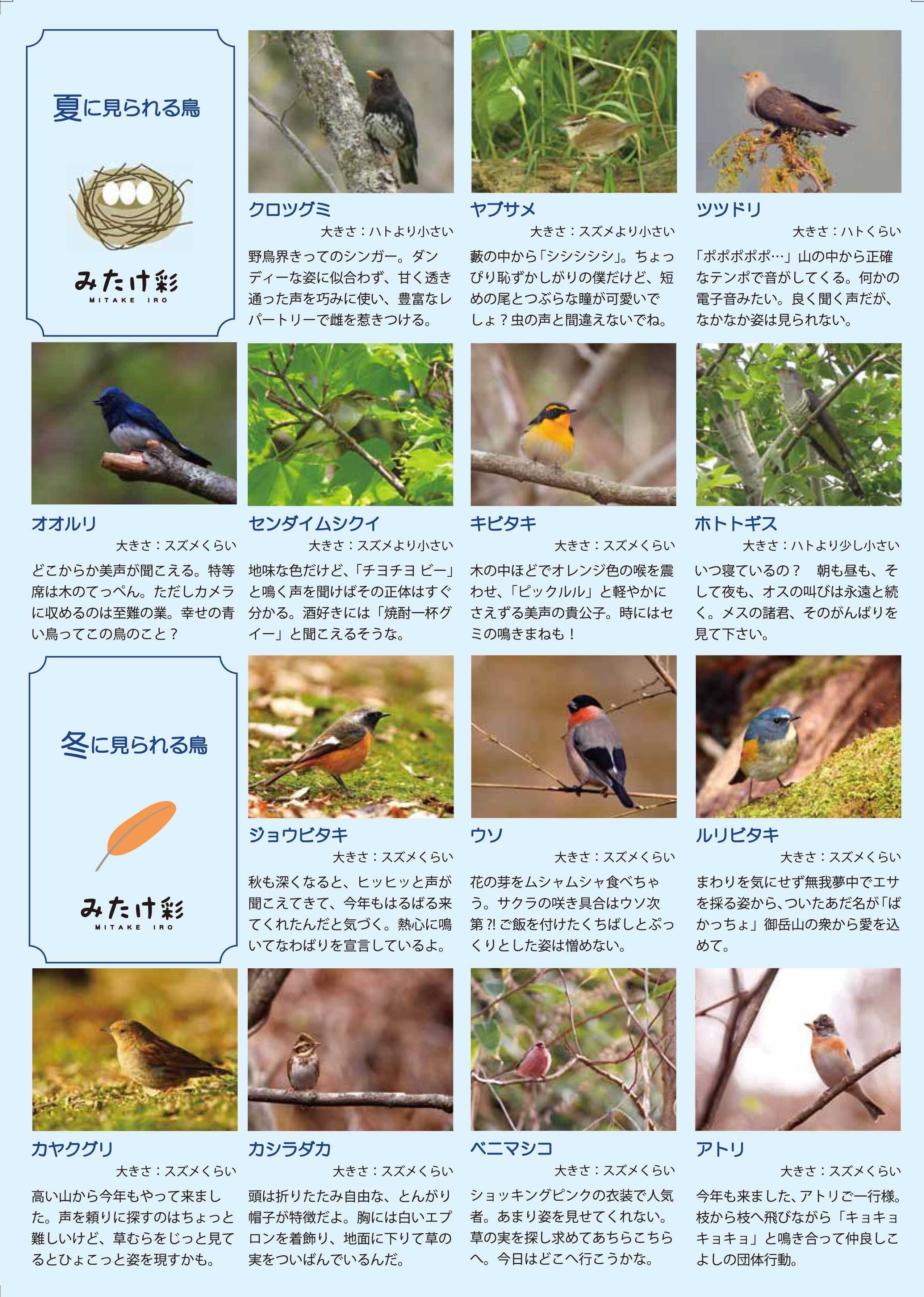 「みたけ彩」季節に見られる野鳥　裏