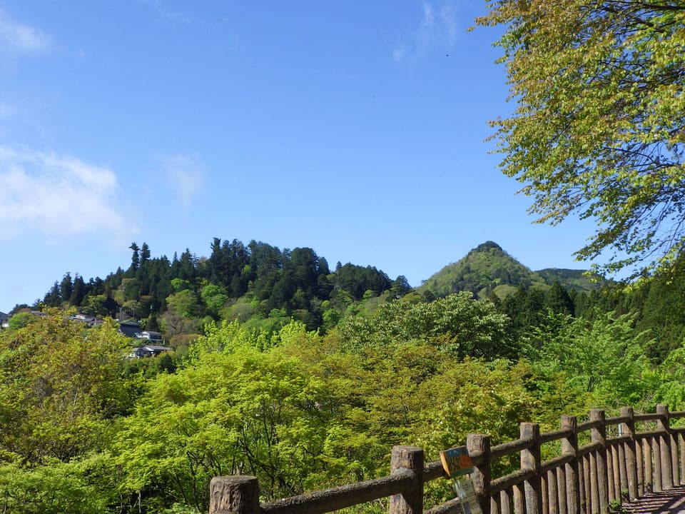 新緑の山の風景