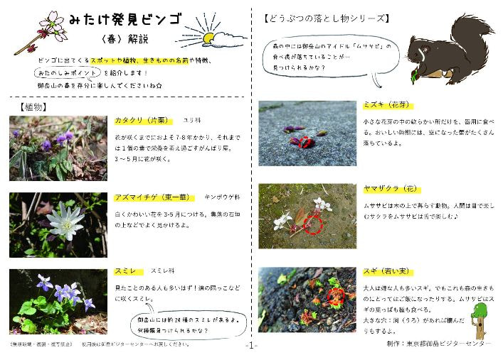 みたけ発見ビンゴ(春)解説シート