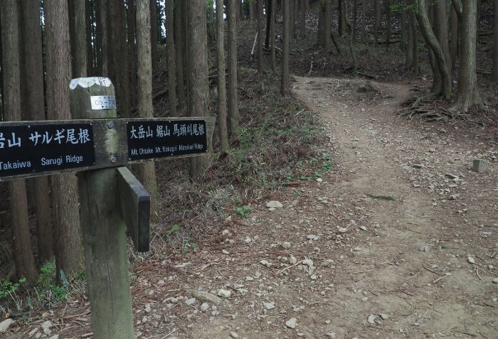 分岐道と道標