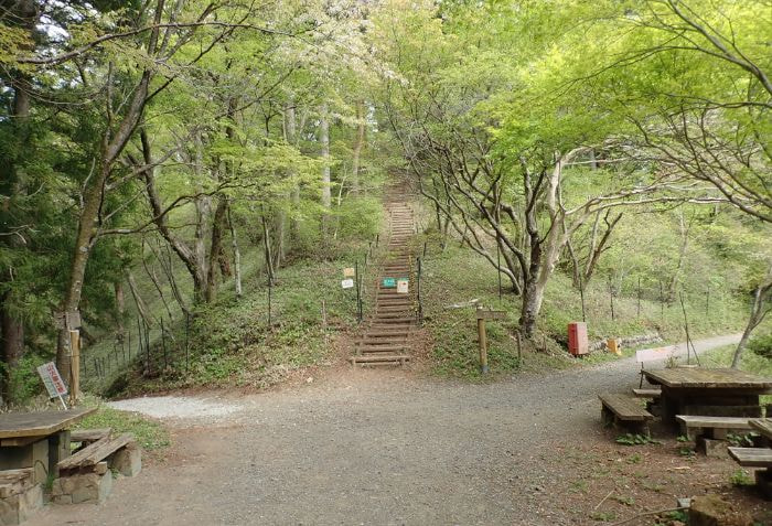 十字路と正面の階段・園地