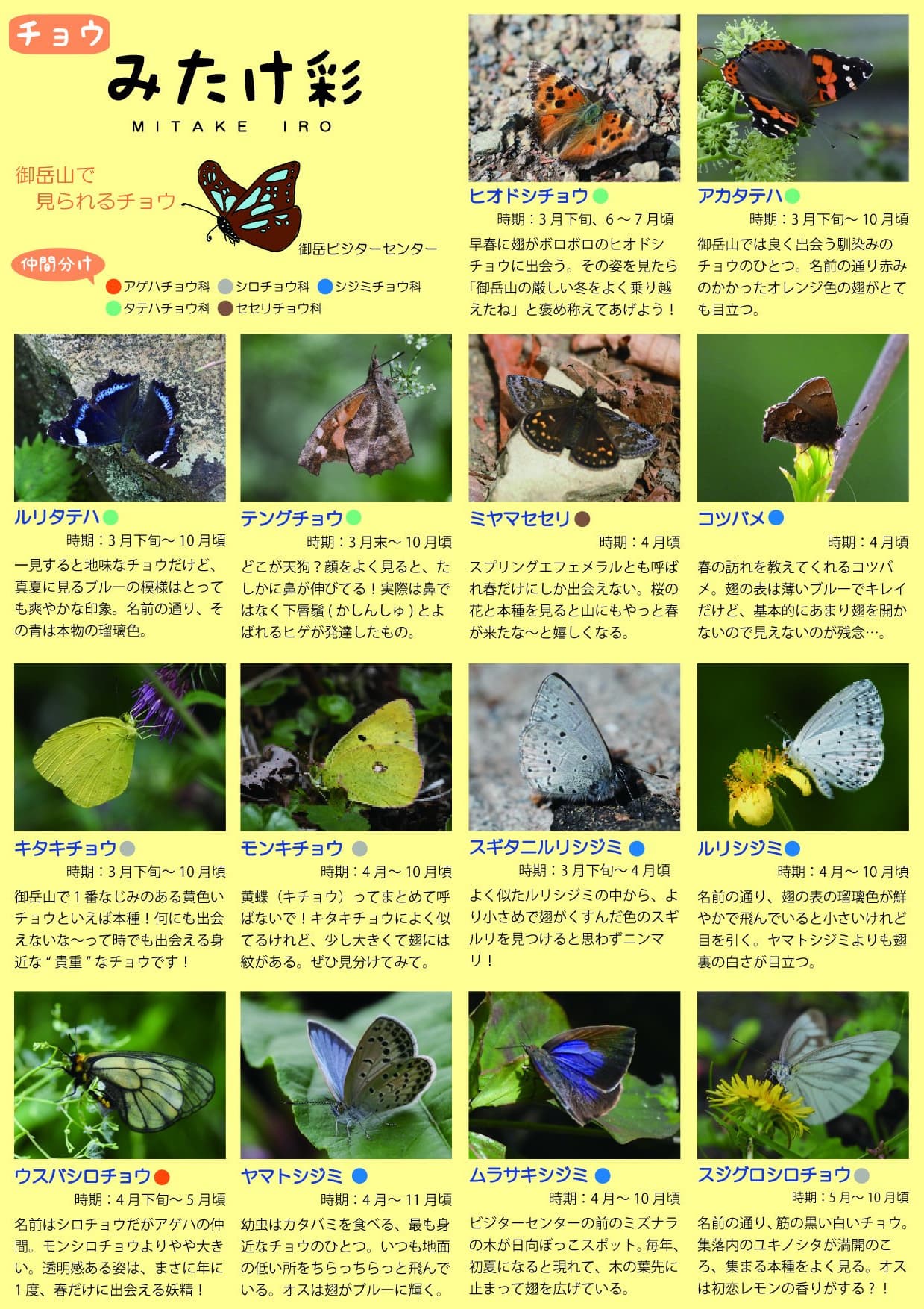 「みたけ彩」集落内で見られるスミレ 表